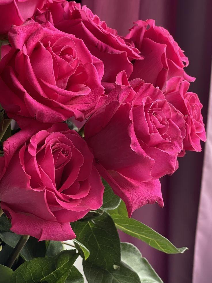 Secret Garden's Lush Fragrance Fusion